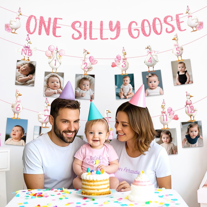 EoBeCy One Silly Cute Goose Birthday Decor for Girl, 1st Birthday Photo Banner Garland with Monthly Picture Holders, Pink Farm Animal Party Supplies for Baby Girl - Image 5