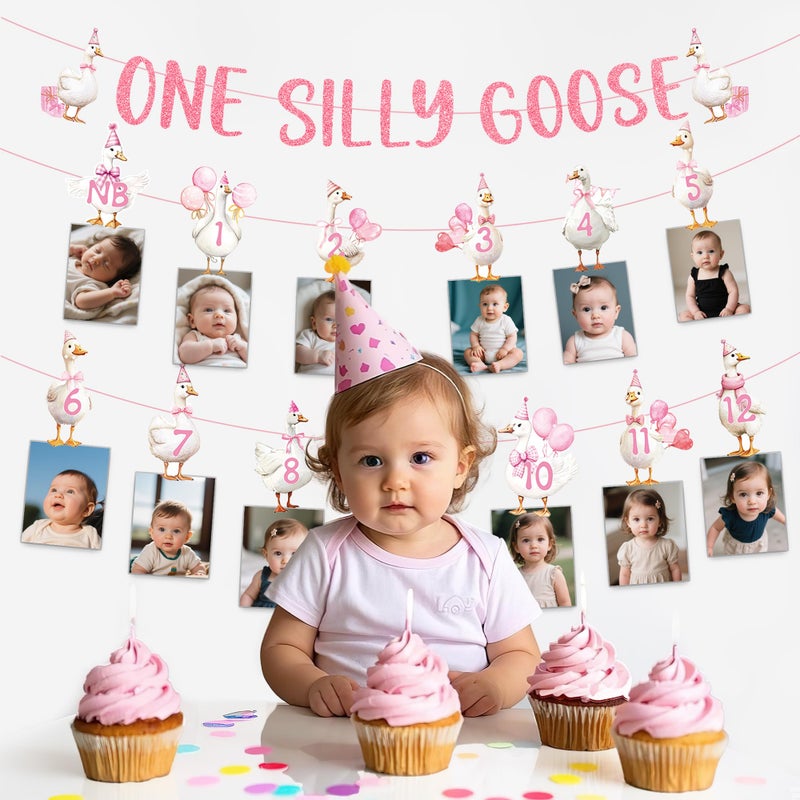 EoBeCy One Silly Cute Goose Birthday Decor for Girl, 1st Birthday Photo Banner Garland with Monthly Picture Holders, Pink Farm Animal Party Supplies for Baby Girl - Image 4