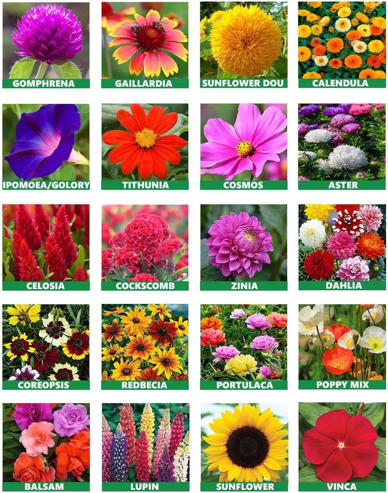 Earth Hopper Low Maintenance Hybrid Flower Seeds Combo Pack- All Year Flower Seeds Supply (15 VARIETIES) - Image 1