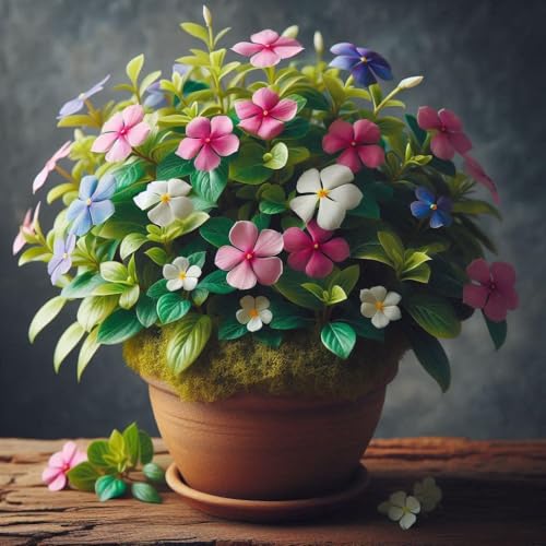 Earth Hopper Low Maintenance Hybrid Flower Seeds Combo Pack- All Year Flower Seeds Supply (15 VARIETIES) - Image 3