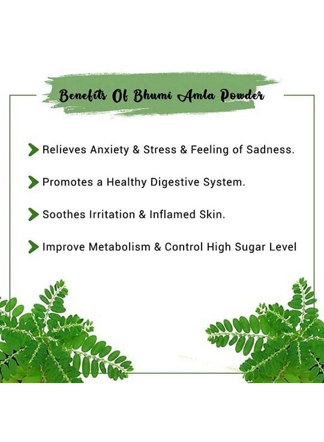 Heilen Biopharm Heilen Biopharm Bhoomi Amla Powder For Health Improvement - 100 g Pack of 1  - Image 5