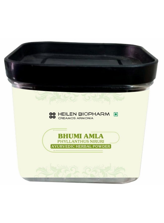 Heilen Biopharm Heilen Biopharm Bhoomi Amla Powder For Health Improvement - 100 g Pack of 1  - Image 1