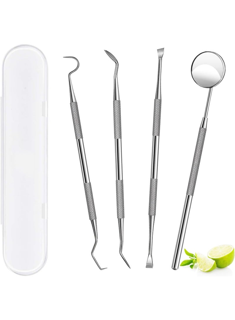4-Piece Dental Tools, Professional Teeth Cleaning Oral Care Hygiene Kit, Stainless Steel Dental Pick Tooth Scraper Tartar Plaque Remover for Dentist, Personal, Pet Use with Storage Box - Image 1