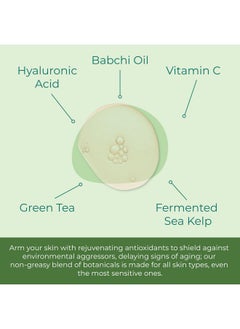 Sea-El Hyaluronic Acid & Vitamin C Facial Serum Drops Firming Hydration & Glow Anti Aging Face Moisturizer Daily Wrinkle Diminishing Skin Care For Women & Men Vegan 1 Fl Oz  - Image 4