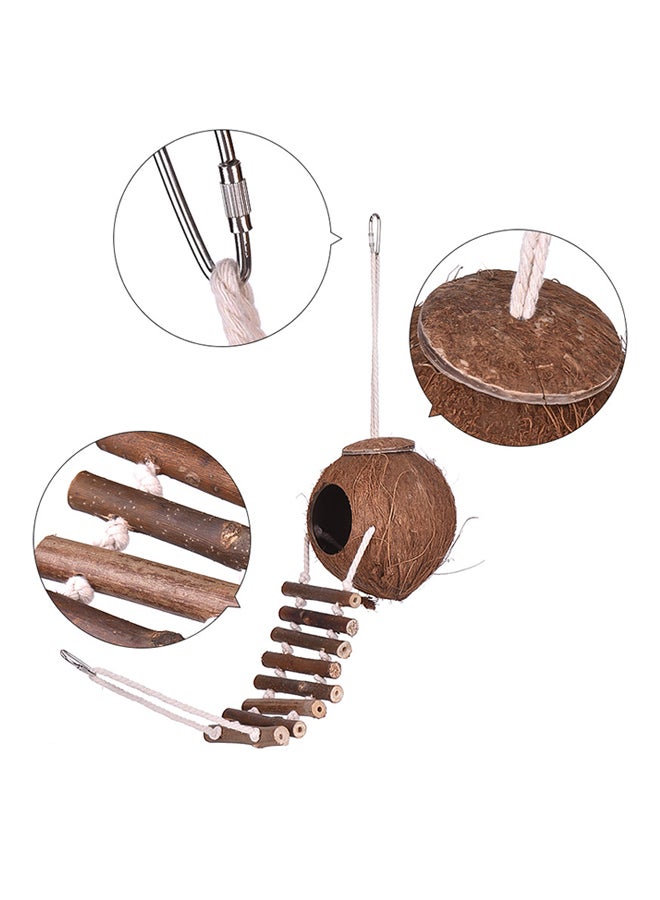 إسكدنيا منزل للطيور مصنوع من قشرة جوز الهند متعدد الألوان - Image 3