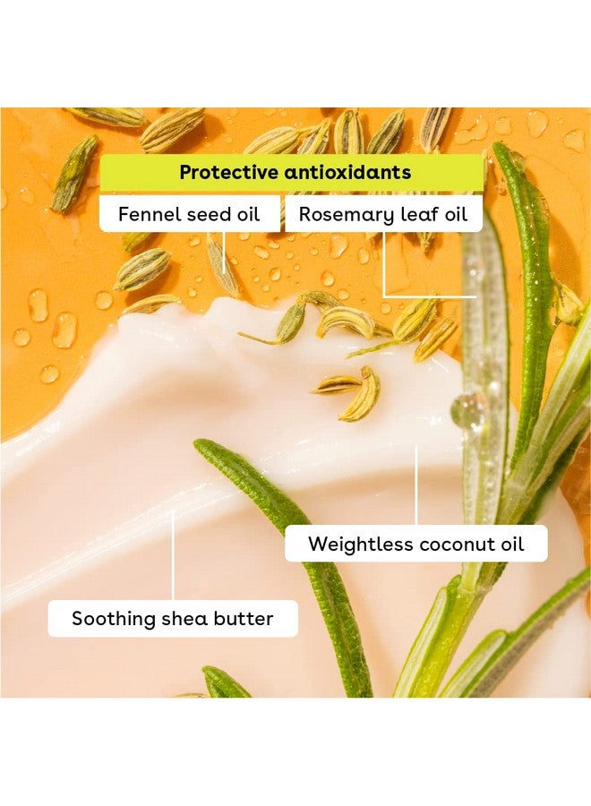 إي أو اس مرطب شفاه طبيعي وعضوي 100% من إي أو إس - برائحة الفانيليا، ترطيب يدوم طوال اليوم، موصى به من قبل أطباء الجلدية، 0.14 أونصة، عبوة من قطعتين - Image 5