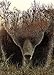 BBOLDIN Animal Bear Jigsaw Puzzles for Adult 1000 Piece Difficult Hard Impossible Puzzles for Adults Nature Hunting Puzzle 1000 Piece - Image 3