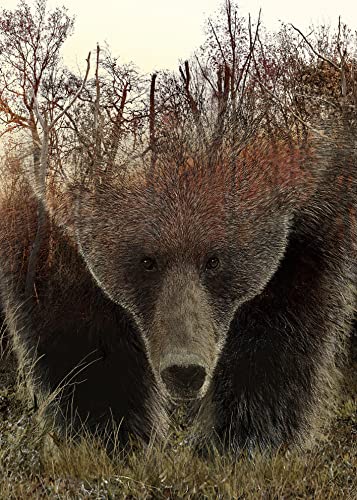 BBOLDIN Animal Bear Jigsaw Puzzles for Adult 1000 Piece Difficult Hard Impossible Puzzles for Adults Nature Hunting Puzzle 1000 Piece - Image 1