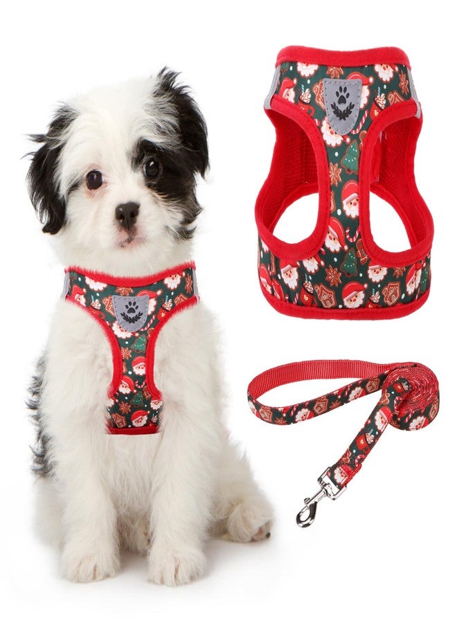 كولتيل طقم سرج كلاب كولتيل لعيد الميلاد للكلاب الصغيرة والمتوسطة، يتضمن سرجًا ومقودًا، سترة مبطنة بشبكة ناعمة قابلة للتعديل وعاكسة للضوء، مناسبة للجراء، بالإضافة إلى سرج إضافي للكلاب الصغيرة جدًا (XS) والمتوسطة (M). - Image 1