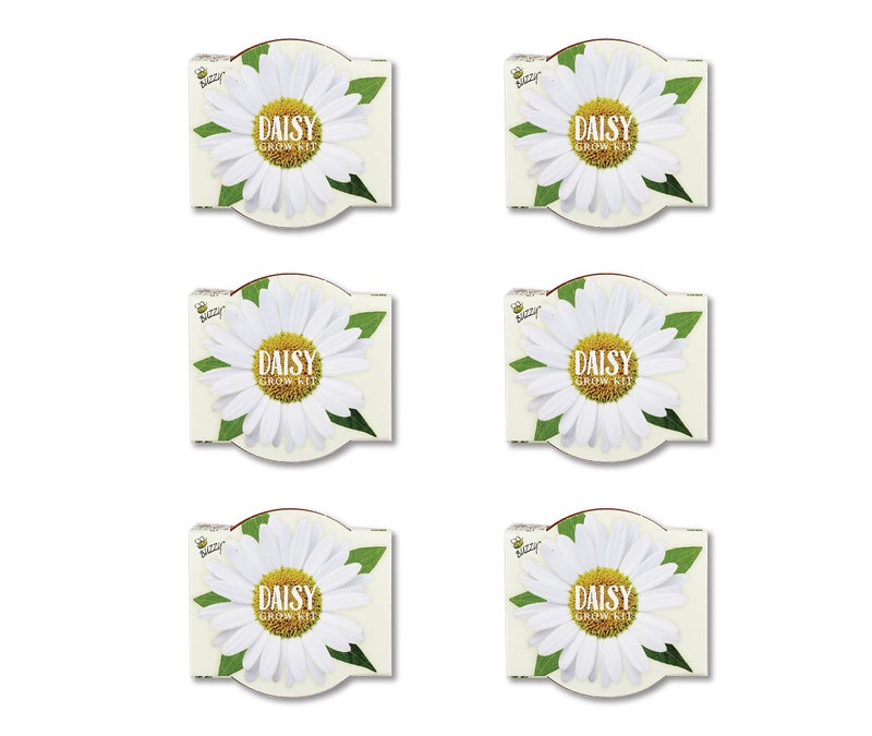 BUZZY Seeds Daisy Daydream Collection Mini Terracotta Grow Pots 6-Pack, All-in-One Starter Kit with Seed Packs and Growing Medium, Wedding Favors, Gardening Gifts, Garden Parties - Image 2