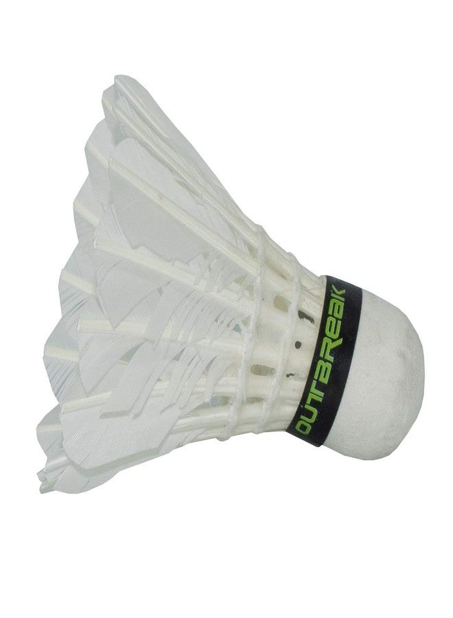 Triumph Passion Badminton Alloy Steel 2 Pcs Racquet Set with 10 Pcs Outbreak Feather Shuttlecock and Full Racket Cover for Adults (Multicolour)() - Image 5