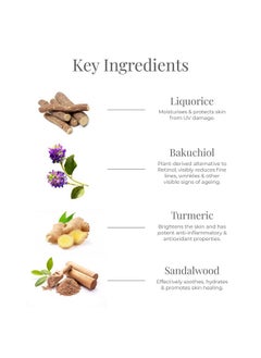 Forest Essentials Forest Essentials Som Rasa Velvet Concealer Manjistha | Natural Concealer for Face Makeup | Light to Medium Coverage | Natural Makeup | 3.2g  - Image 5