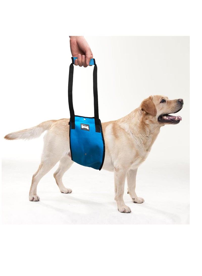 Excefore Dog Sling for Large Dogs, Hind Leg Support, Dog Lift Harness with Handle for Lifting Back Legs for Weak Rear Legs, Soft Hind Leg Helps Senior, Injured, Disabled & After ACL Surgery, Blue, L - Image 1