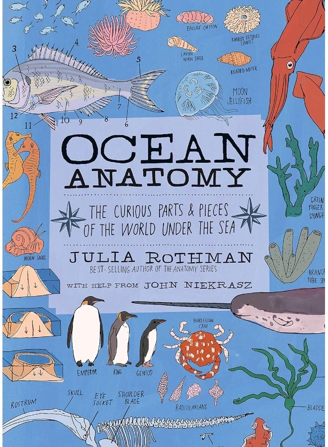 Ocean Anatomy: The Curious Parts & Pieces of the World Under the Sea  - Image 1
