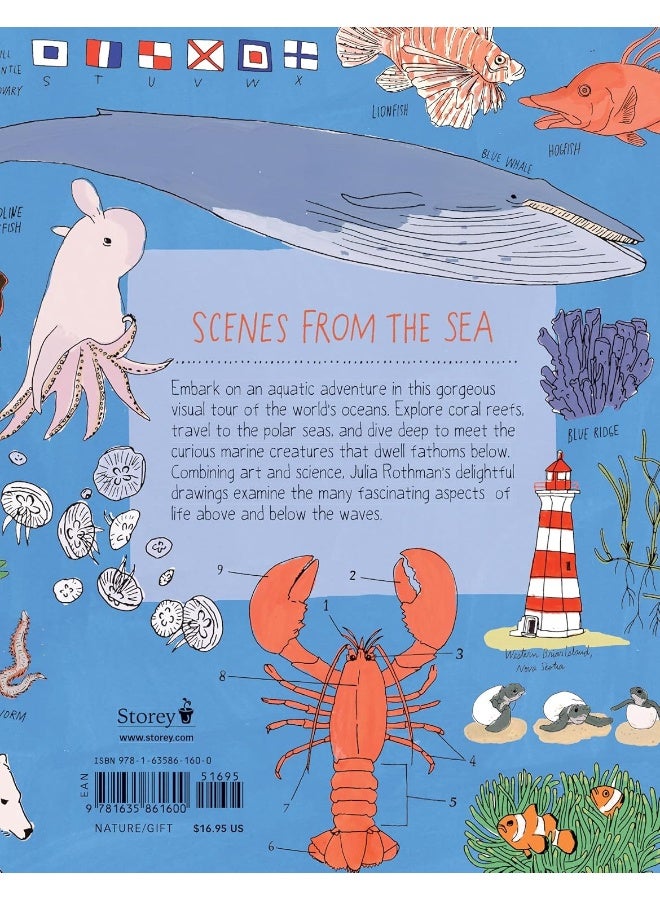 Ocean Anatomy: The Curious Parts & Pieces of the World Under the Sea  - Image 2