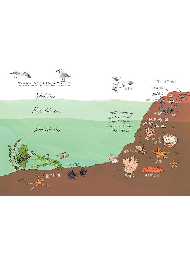 Ocean Anatomy: The Curious Parts & Pieces of the World Under the Sea  - Image 5