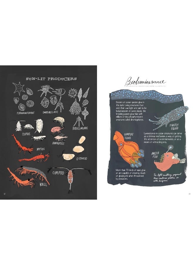 Ocean Anatomy: The Curious Parts & Pieces of the World Under the Sea  - Image 3