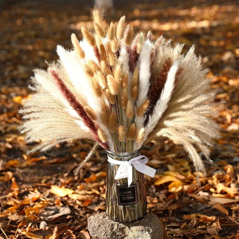Bluejw G111 Luxury Fluffy Pampas Grass Small Reed Rabbit Tail Dried Plants for Wedding Home Graduation Christmas Halloween Easter Decor - Image 5