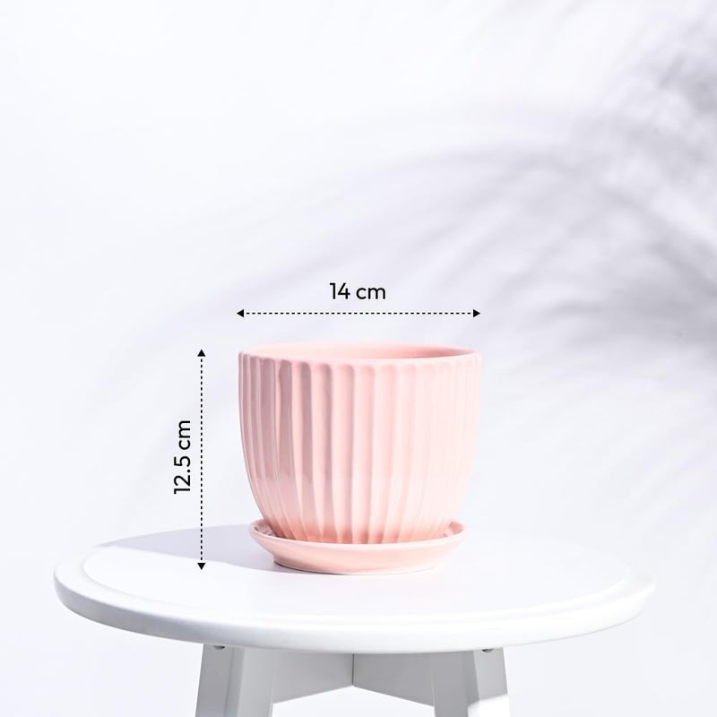 أوجاو وعاء سيراميك Grail للنباتات الداخلية - لون خوخي (5 بوصات) - Image 3