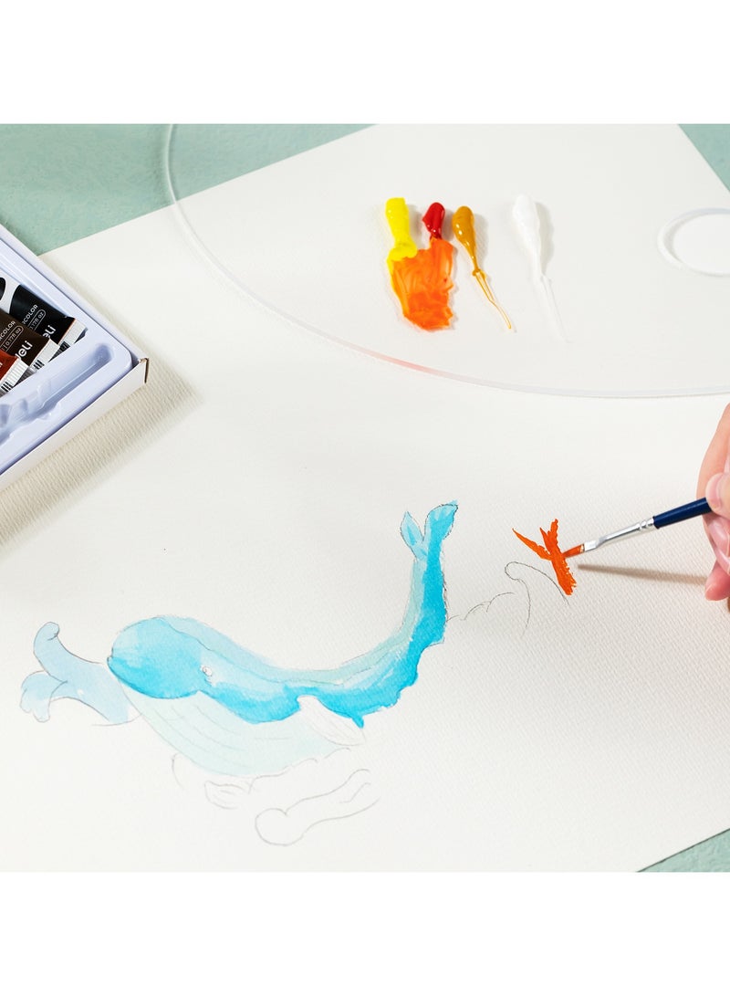 ديلي EC18-12 مجموعة ألوان مائية 5 مل × 12 لونًا مع فرشاة - مثالية للرسم والفنون المدرسية - Image 4