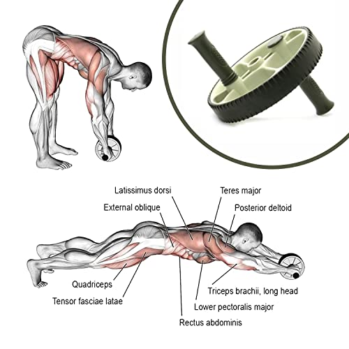 Ecowellness AB Exerciser Wheel Exercise Equipment - Image 5