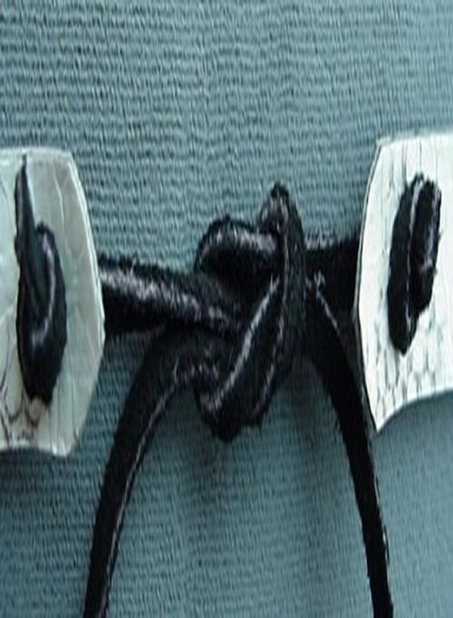 Dangerous Threads Western Hatband B & W Python Snake Skin W Ties New - Image 2