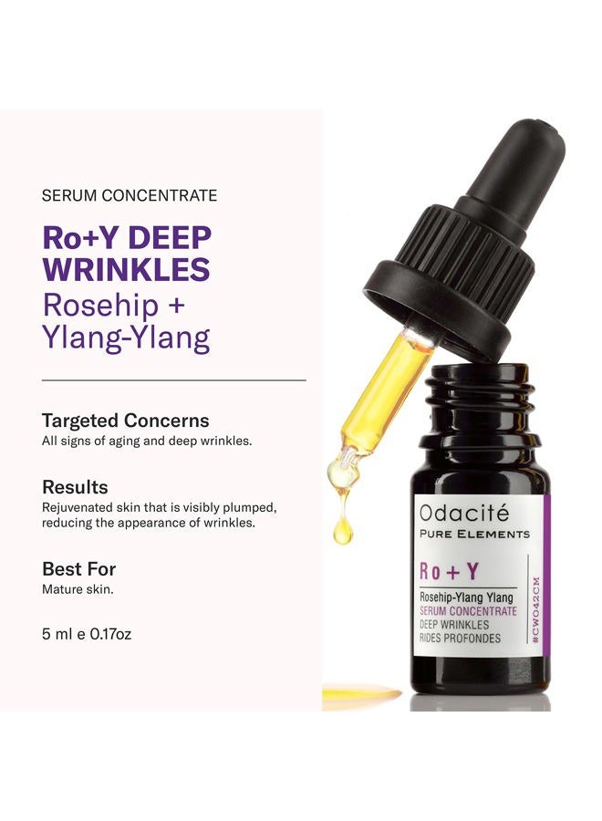 Odacite Odacité Anti Aging Serum Concentrate with Rosehip + Ylang-Ylang - Lightweight Facial Serum For Mature Skin, Fine Lines, Nourishes for Look of Plump, Youthful Skin - 0.17 Fl. Oz - Image 2