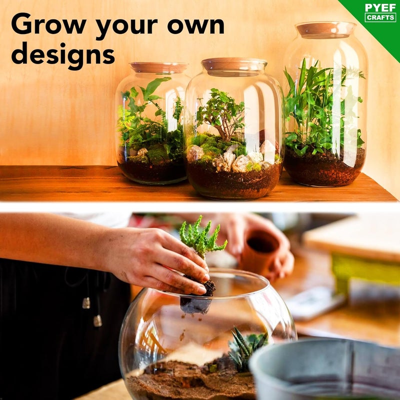 PYEF CRAFTS DIY Terrarium Kit for Plants – Starter Set for Garden in Bottle – Self‑Sustaining Ecosystem – Supplies for Succulents, Air Plants, Fern – Set without Jar (M), No Plants Included - Image 4