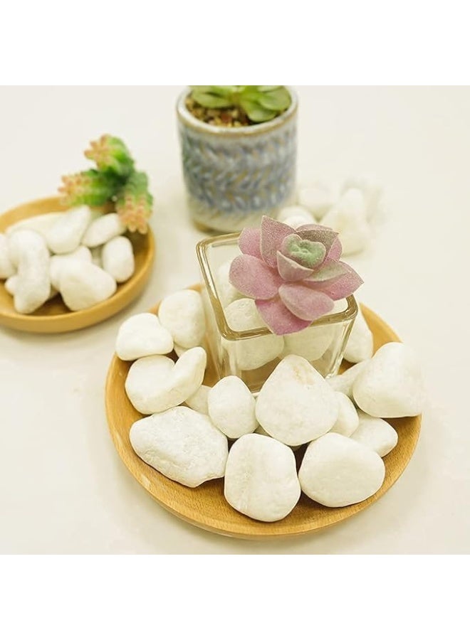 CRAFTS White 5-8 cm Natural Decorative Stones Pebbles 20kg - Image 3