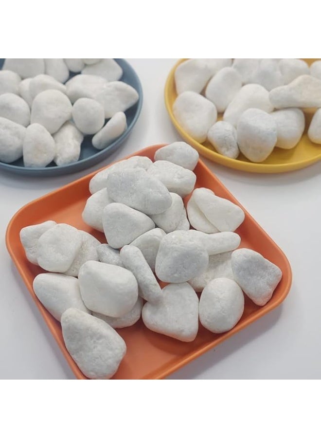 CRAFTS White 5-8 cm Natural Decorative Stones Pebbles 20kg - Image 4