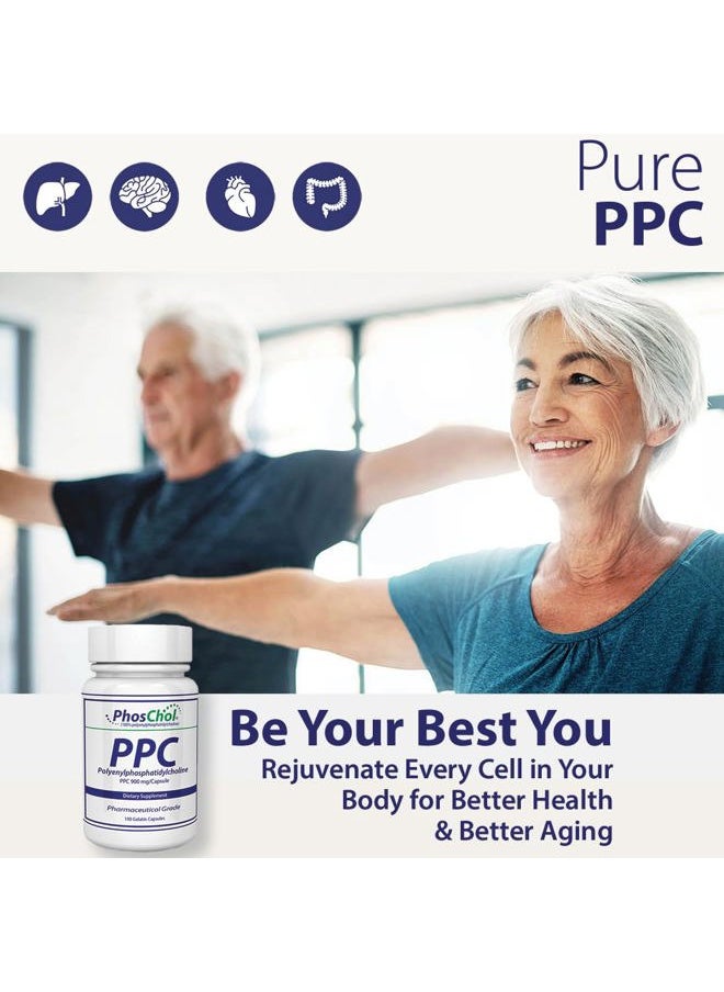 Nutrasal - PhosChol PPC Polyenyl PhosphatidylCholine Choline Supplement 900mg 100 Gelatin Capsules - Image 1