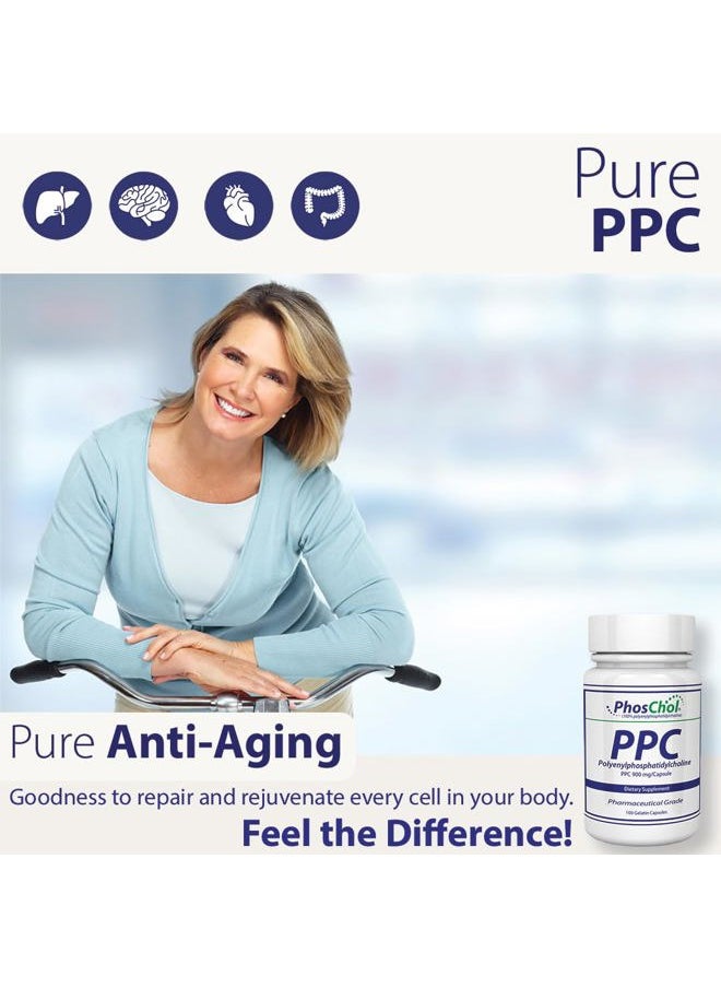 Nutrasal - PhosChol PPC Polyenyl PhosphatidylCholine Choline Supplement 900mg 100 Gelatin Capsules - Image 1