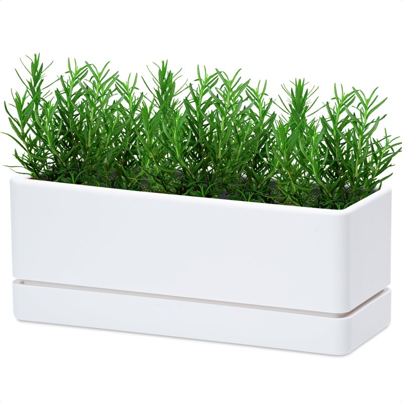 Dvine Dev 12 Inch Window Box Planter Rectangle Plastic Herb Planter with Drainage Holes and Saucer Indoor Succulent Cactus Vegetable Pot for Windowsill Garden Balcony White Set of 1 76XA1