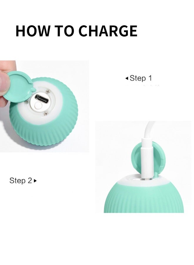 Pet toys cat rolling ball toys smart - Image 4