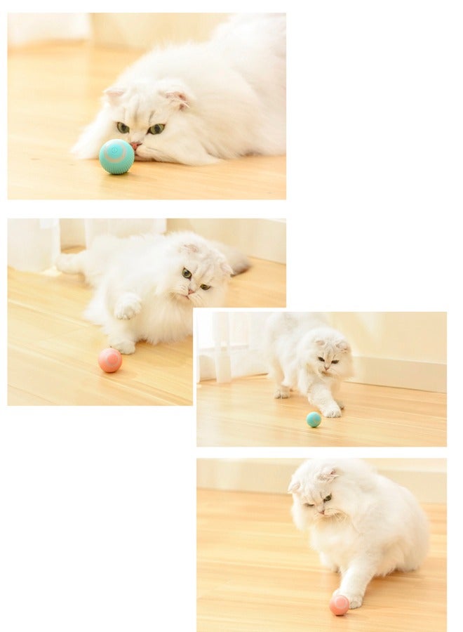 Pet toys cat rolling ball toys smart - Image 5