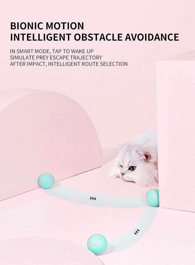 Pet toys cat rolling ball toys smart - Image 2