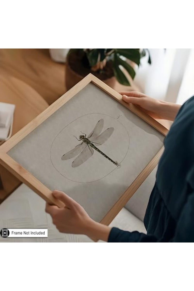Poster Master Vintage Dragonfly Poster - Dark Academia Artwork - 8x10 Unframed Wall Art - Unique Wall Decor Gift for Home, Living Room, Kitchen, Office, Bedroom, Bathroom - Insect Scientific Print - Image 5