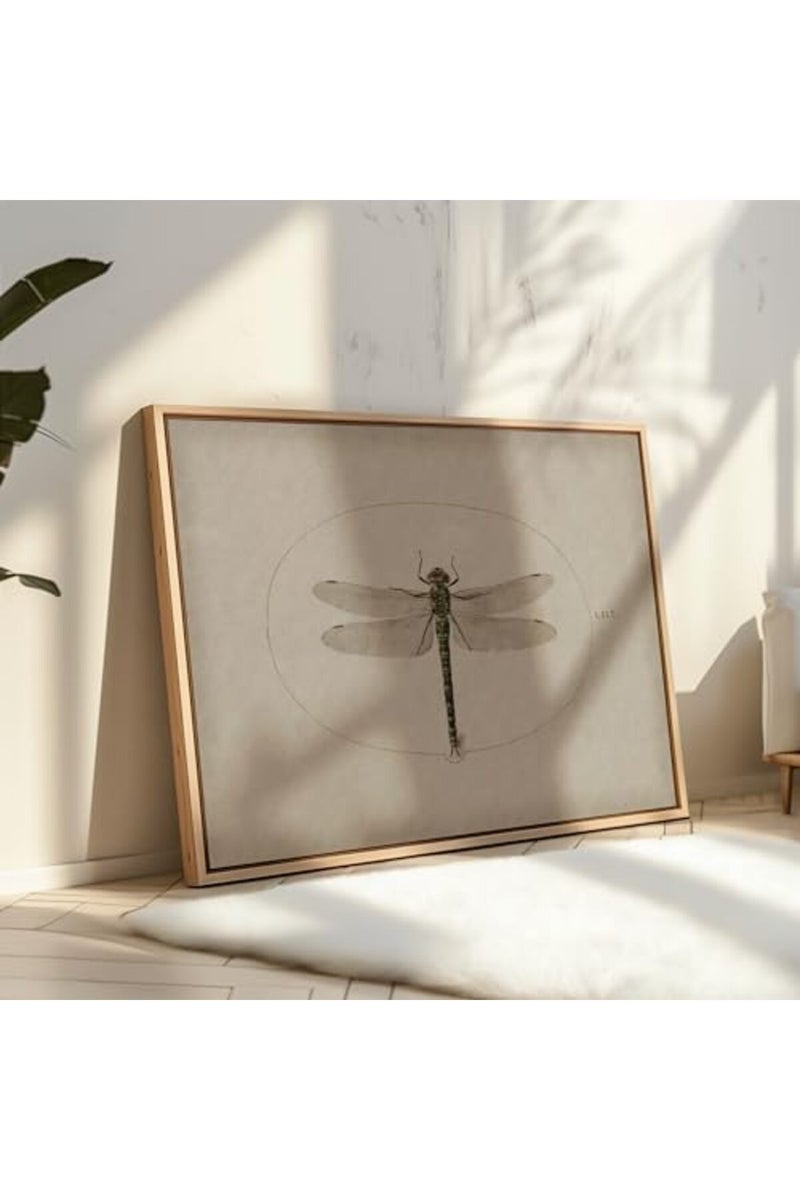 Poster Master Vintage Dragonfly Poster - Dark Academia Artwork - 8x10 Unframed Wall Art - Unique Wall Decor Gift for Home, Living Room, Kitchen, Office, Bedroom, Bathroom - Insect Scientific Print - Image 4
