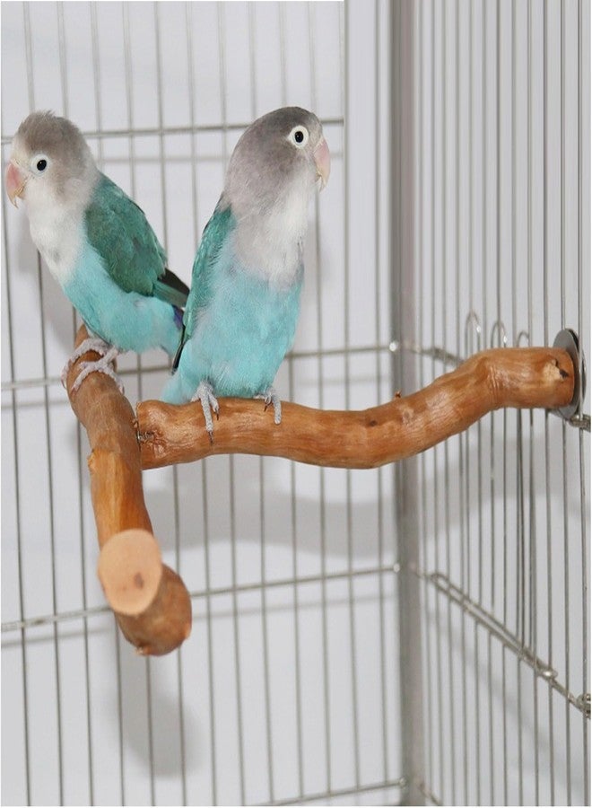 Asixxsix Wood Bird Perch, T Shaped Birdcage Stand Wooden Parrot Perch Stand Perch for Bird Cage Grinding Bird Perch Branches, T Perch Bird Accessory, Easy to Install - Image 3