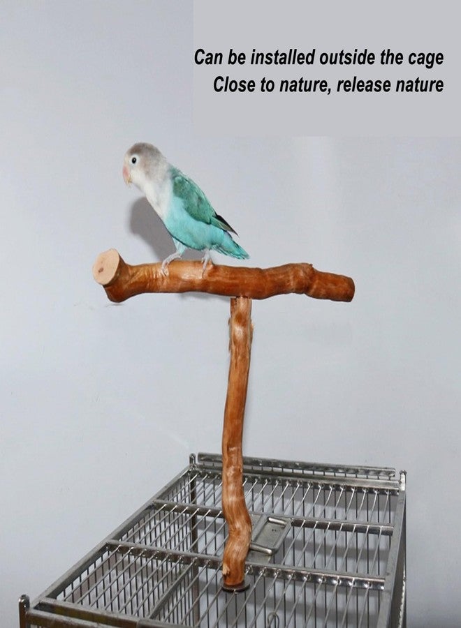 Asixxsix Wood Bird Perch, T Shaped Birdcage Stand Wooden Parrot Perch Stand Perch for Bird Cage Grinding Bird Perch Branches, T Perch Bird Accessory, Easy to Install - Image 2