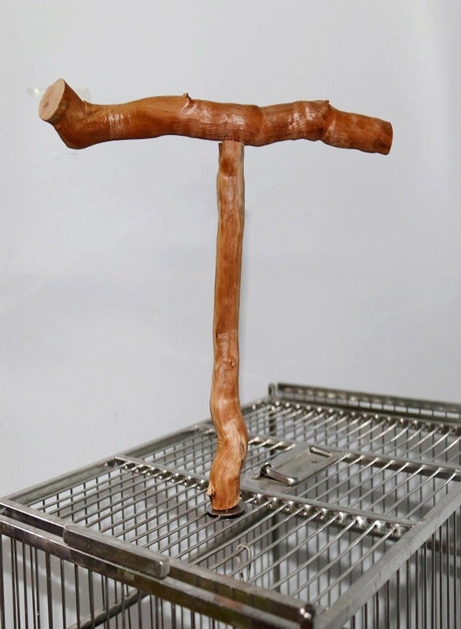 Asixxsix Wood Bird Perch, T Shaped Birdcage Stand Wooden Parrot Perch Stand Perch for Bird Cage Grinding Bird Perch Branches, T Perch Bird Accessory, Easy to Install - Image 4
