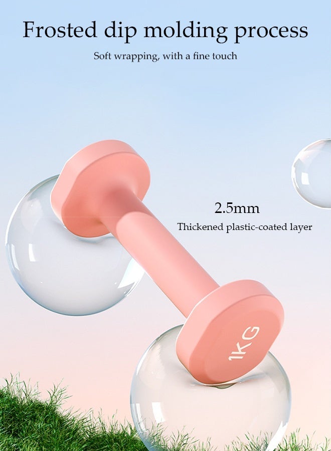 DUNISO 2pcs Rubber Wrapped Cast Iron Dumbbells Sports Fitness Hexagon Dumbbells, Women's Small Size, 1kg*2, High Quality Handheld Strength Training Equipment for Fitness, Home Use, Exercise, Weightlifting, Yoga, Pink - Image 4