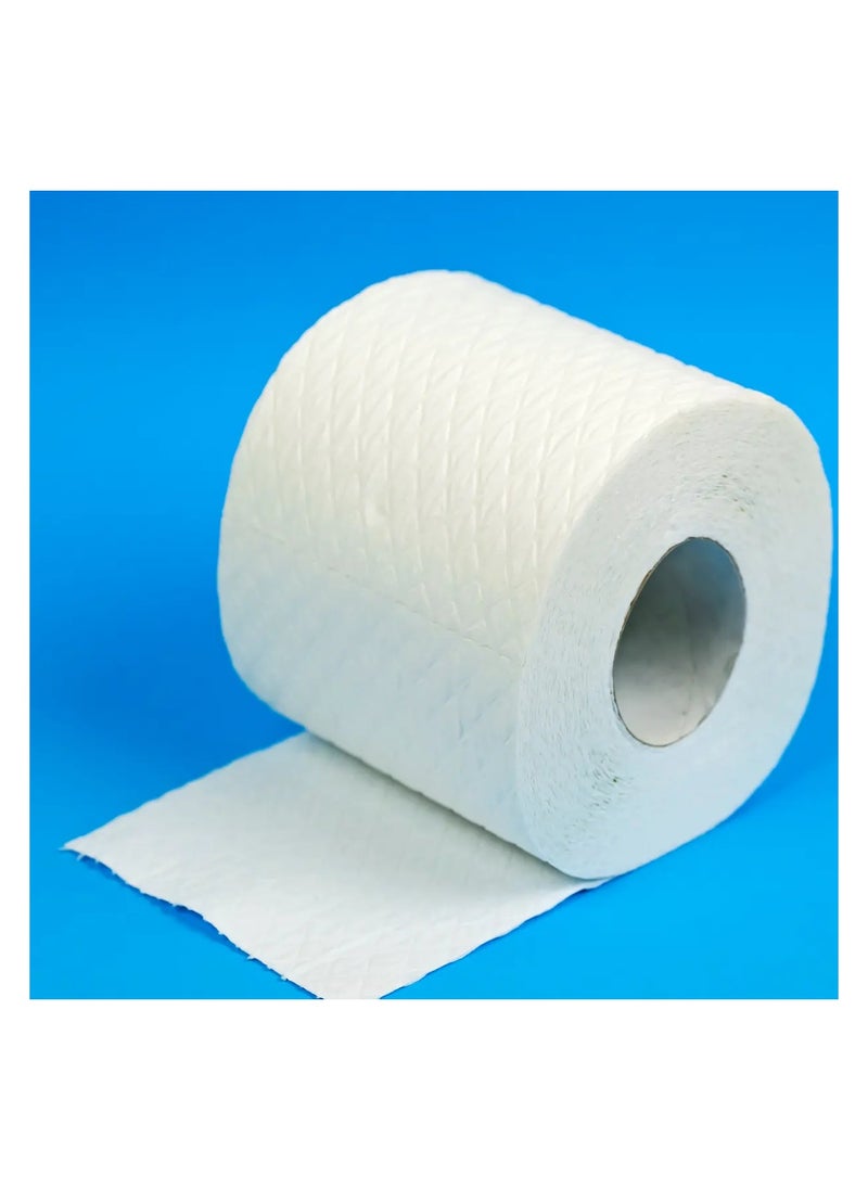 Eco care Toilet Rolls 100 x 350 Sheets 2 Ply Tissue Paper -Embossed with Superior Highly Absorbency…  - Image 3