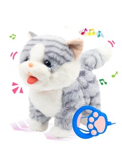Gray Cat