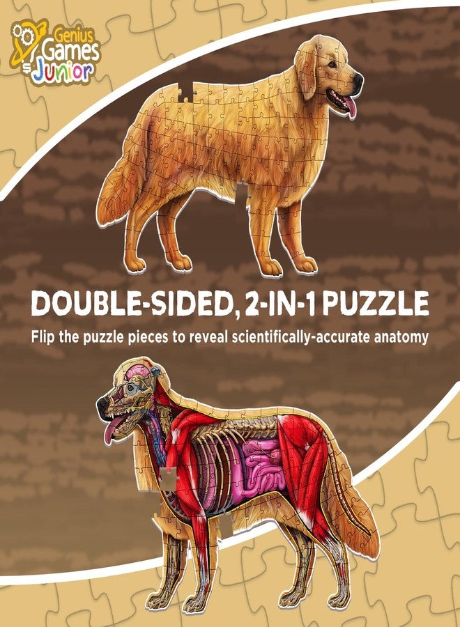 Genius Games Dog Animal Anatomy Floor Puzzle | 100-Piece Double-Sided Jigsaw Puzzle | Large Floor Puzzle for Kids Ages 4–8, 3–5, 8–10 | Fun and Educational STEM Toy for Kids, Toddlers, and Families - Image 3