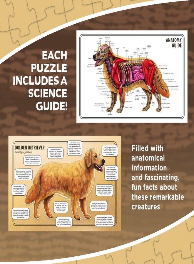 Genius Games Dog Animal Anatomy Floor Puzzle | 100-Piece Double-Sided Jigsaw Puzzle | Large Floor Puzzle for Kids Ages 4–8, 3–5, 8–10 | Fun and Educational STEM Toy for Kids, Toddlers, and Families - Image 5