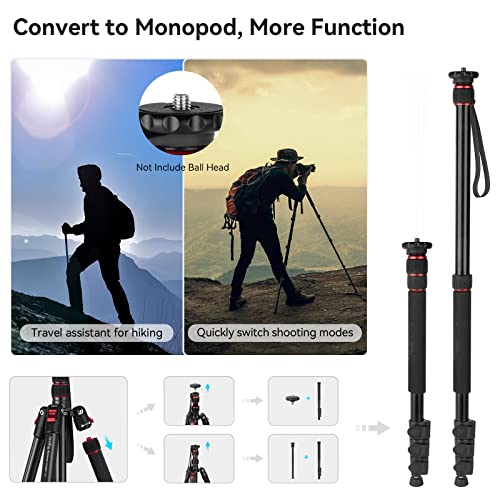 SmallRig T-10 Camera Tripod, 68" Foldable Aluminum Tripod & Monopod, Compatible with 1/4"-20 and 3/8"-16 Video Head, Payload 33lb, Adjustable Height from 19.7" to 67.7" for Camera, Phone - 3983 - Image 4