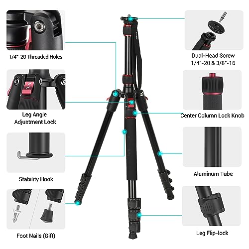 SmallRig T-10 Camera Tripod, 68" Foldable Aluminum Tripod & Monopod, Compatible with 1/4"-20 and 3/8"-16 Video Head, Payload 33lb, Adjustable Height from 19.7" to 67.7" for Camera, Phone - 3983 - Image 5