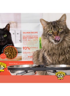 Dr. Elsey's Dr. Elsey's Cleanprotein Salmon Formula Dry Cat Food, 6.6 Lb  - Image 5