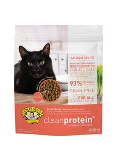 Dr. Elsey's Dr. Elsey's Cleanprotein Salmon Formula Dry Cat Food, 6.6 Lb  - Image 1